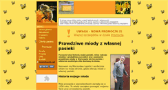 Desktop Screenshot of miody.net